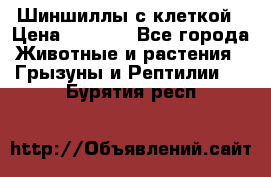 Шиншиллы с клеткой › Цена ­ 8 000 - Все города Животные и растения » Грызуны и Рептилии   . Бурятия респ.